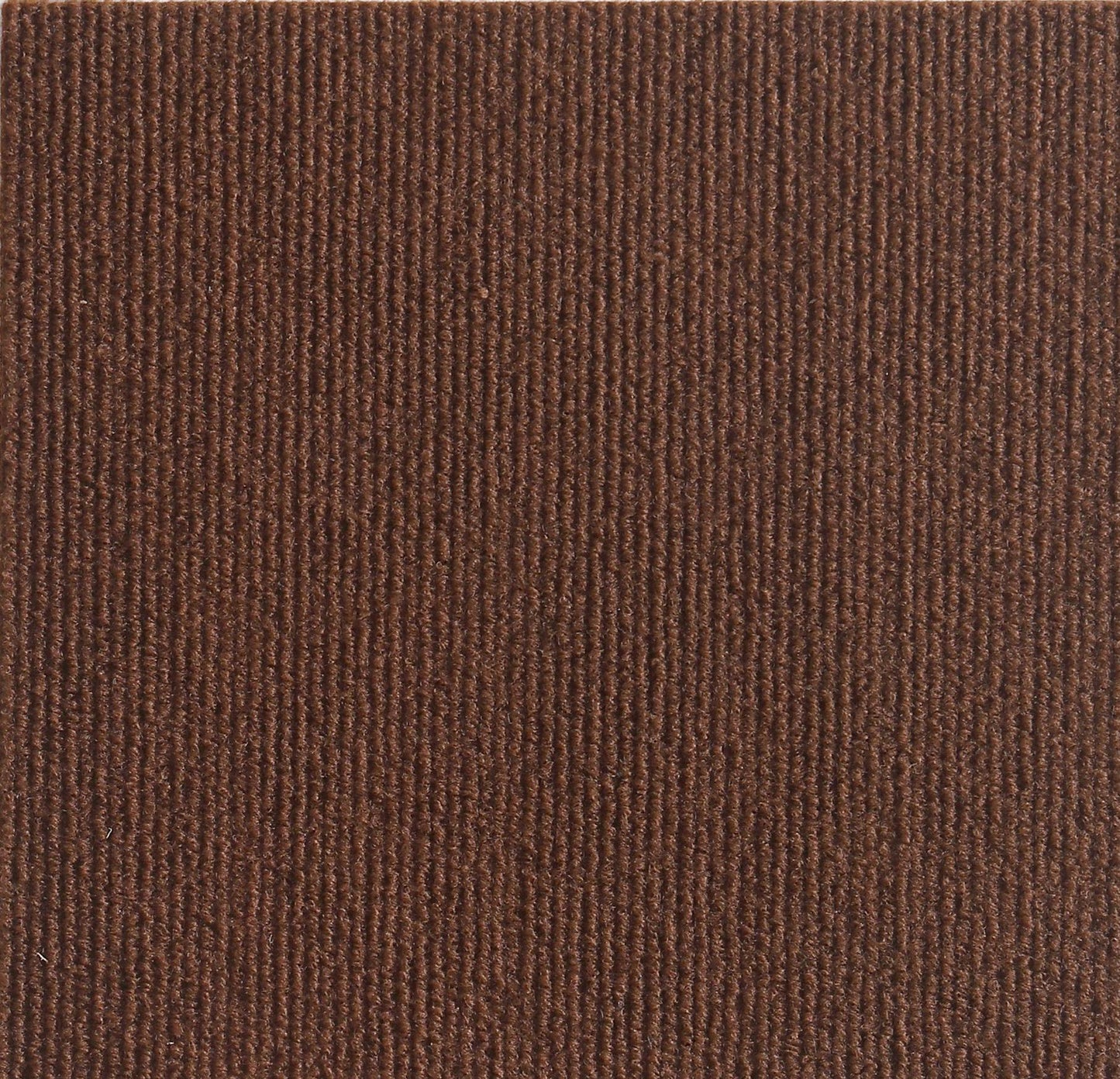 🔥Now At A Reduced Price Of 50% Off🐱 Scratching Mat For Cat Furniture Protection