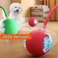 The Pet Ball That Moves On Its Own — No Fetch Required