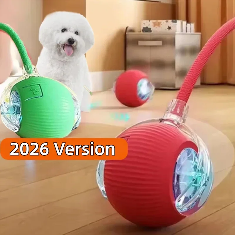 The Pet Ball That Moves On Its Own — No Fetch Required