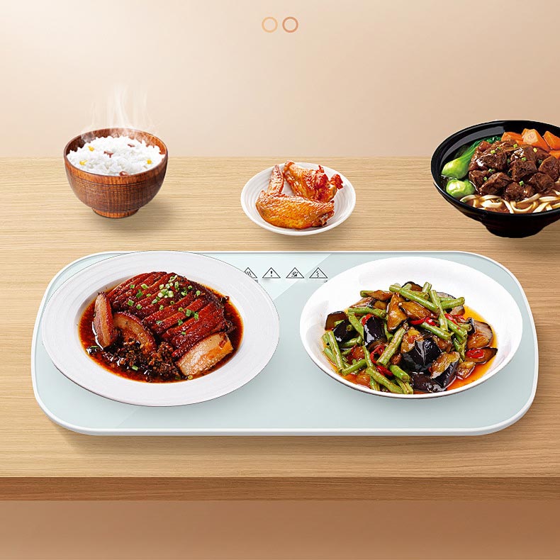 Multifunctional Intelligent Constant Temperature Food Warming Tray