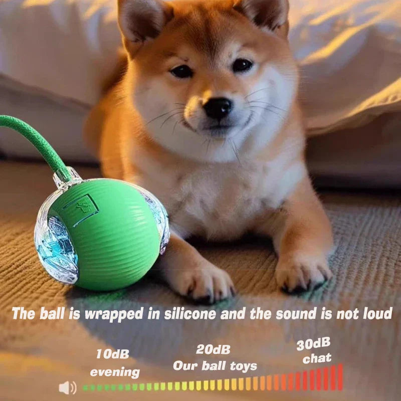 The Pet Ball That Moves On Its Own — No Fetch Required