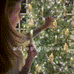 LED Christmas Tree Candles