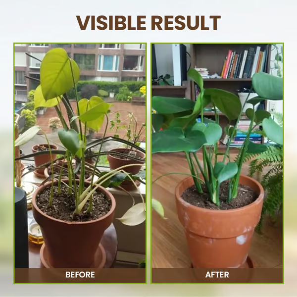 🔥BUY 1 GET 1 FREE🔥Soil Improvement Loosening Agent