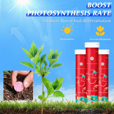 ✨Slow-Release Tablet Organic Fertilizer