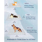 💥LAST DAY SALE 49% OFF💥Vagascape Dog Cooling Eco-friendly Mat, Cooling Pad
