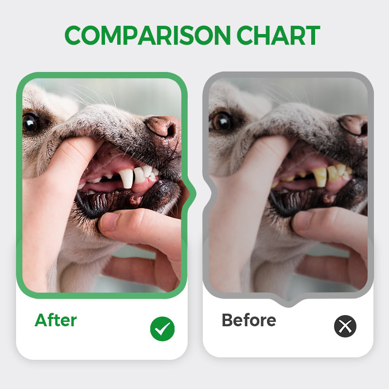 🦷✨Breath-Freshening Whitening Teeth Cleaning Pen for Pets