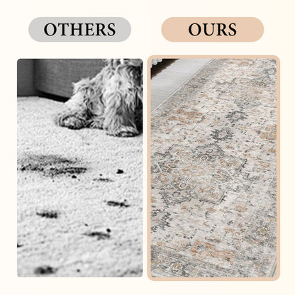 Washable Area Rugs for Living Room