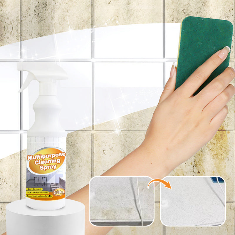 Multipurpose Household Cleaning Spray for Appliance