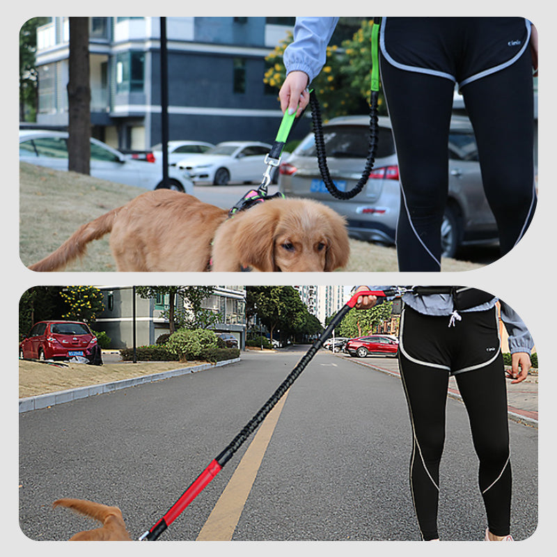 🔥🎁Hot Sale 50% OFF💥- Ends Soon!🔥Adjustable Hands-Free Dog Lead with Waist Bag