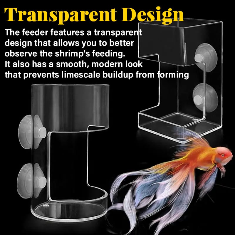 📢📢50% OFF !!⏰⏰Aquarium Feeding Ring and Tray
