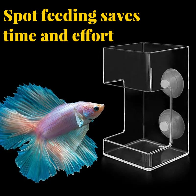 📢📢50% OFF !!⏰⏰Aquarium Feeding Ring and Tray