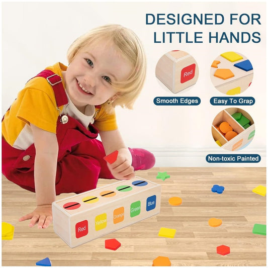 Educational Wooden Color & Shape Sorting Toy