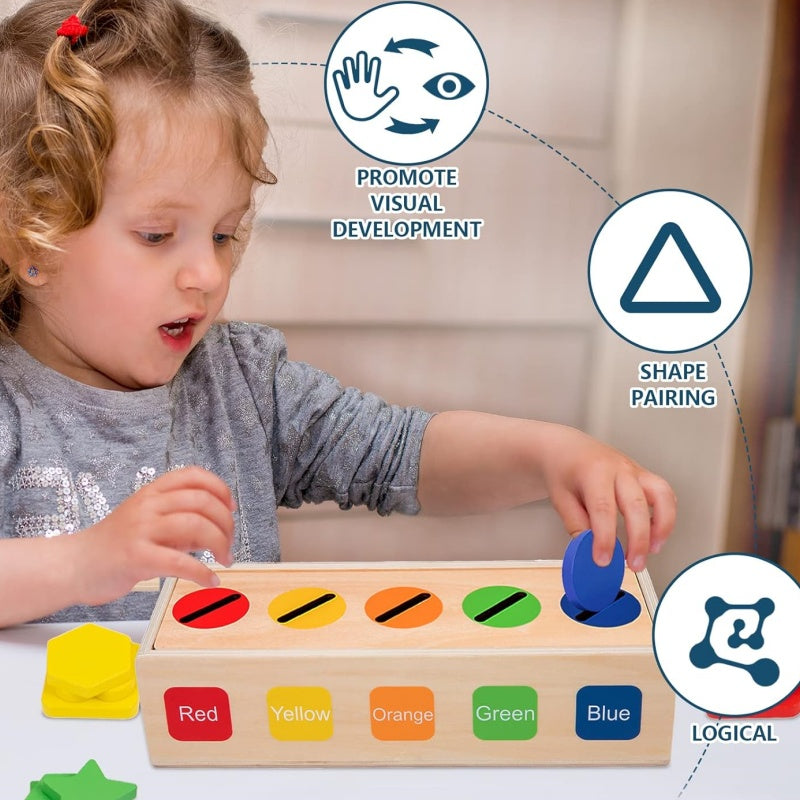Educational Wooden Color & Shape Sorting Toy