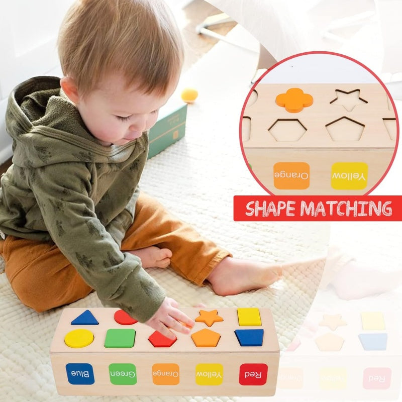 Educational Wooden Color & Shape Sorting Toy