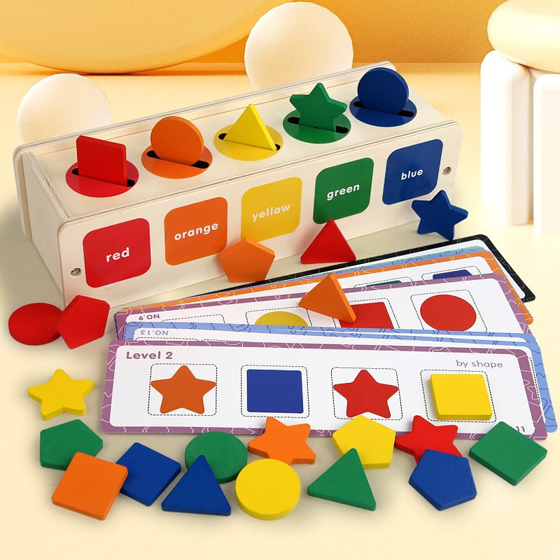 Educational Wooden Color & Shape Sorting Toy