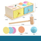 Educational Wooden Color & Shape Sorting Toy