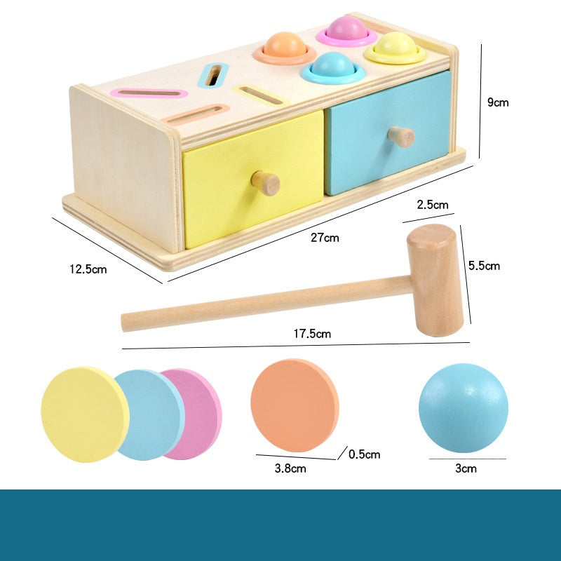 Educational Wooden Color & Shape Sorting Toy