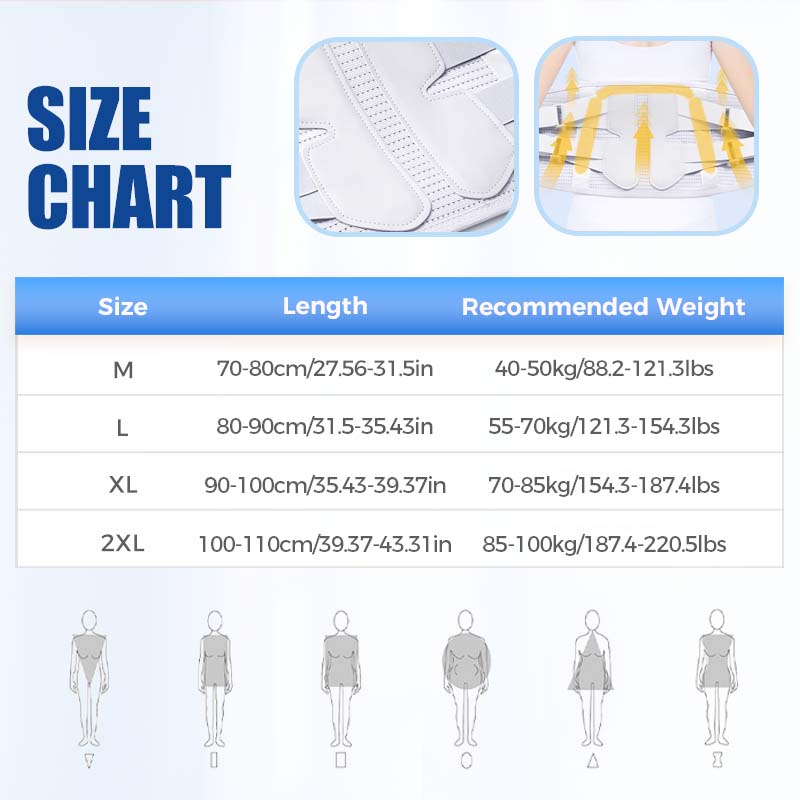 Lumbar Support Protective Belt