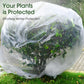 Clear Plant Frost Protection Bags
