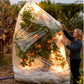 Clear Plant Frost Protection Bags