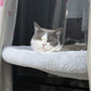 Foldable Cat Window Hammock with Suction Cups