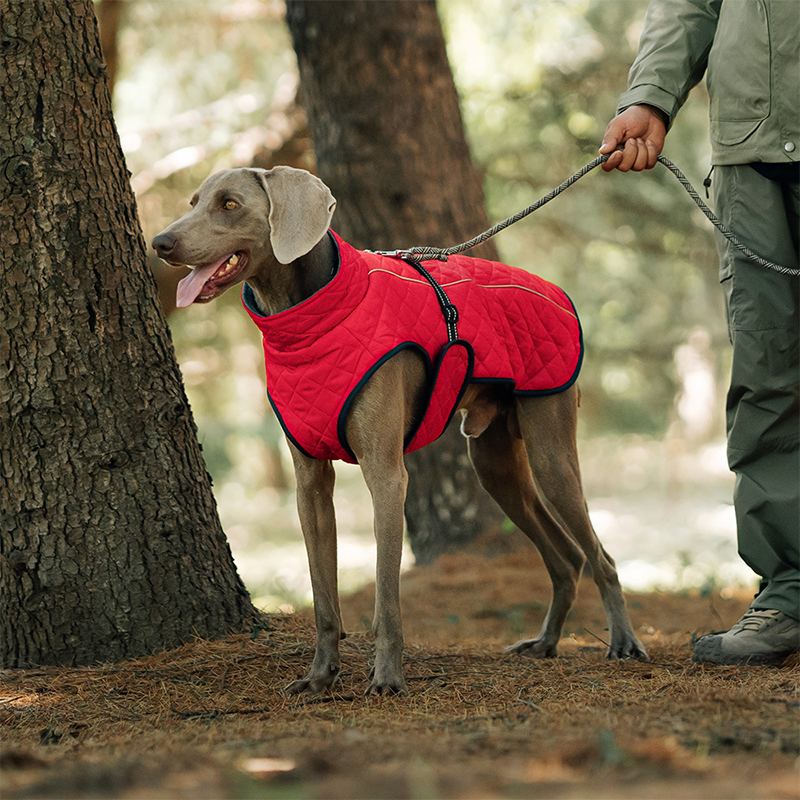 Outdoor Dog Winter Reflective Coat