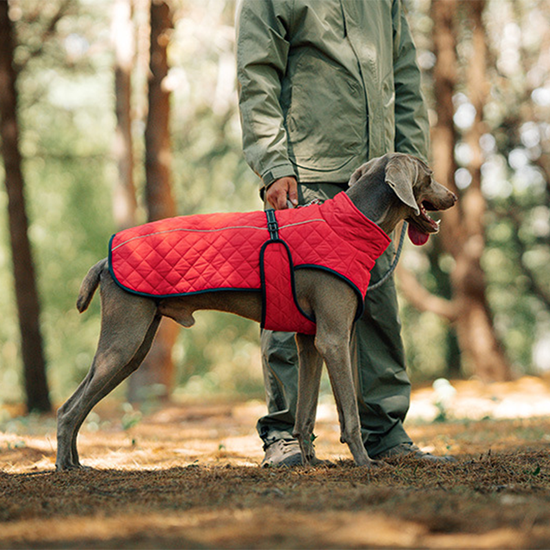 Outdoor Dog Winter Reflective Coat