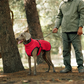 Outdoor Dog Winter Reflective Coat