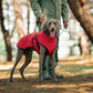 Outdoor Dog Winter Reflective Coat