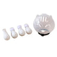 Anti-Bite Transparent Cat Helmet & Paw Covers