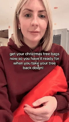 Christmas Tree Durable Waterproof Storage Bag
