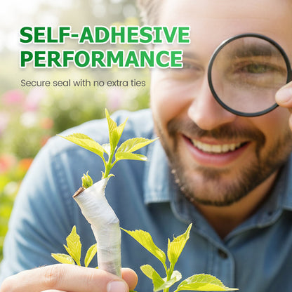 Self-Adhesive Stretchable Biodegradable Grafting Tape