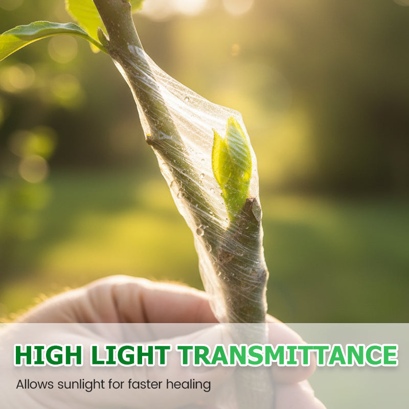 Self-Adhesive Stretchable Biodegradable Grafting Tape