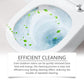Oxalic Acid Powerful Stain Cleaner