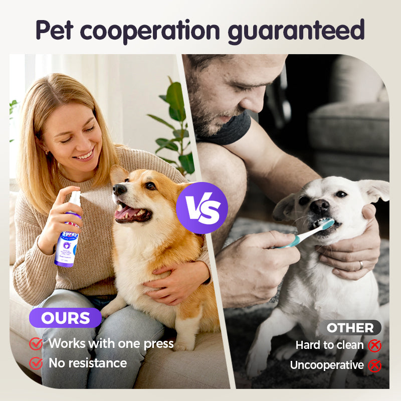 🔥2026 New Arrivals: 49% Off for a Limited Time!🔥DentaClean Teeth Cleaning Spray for Pets