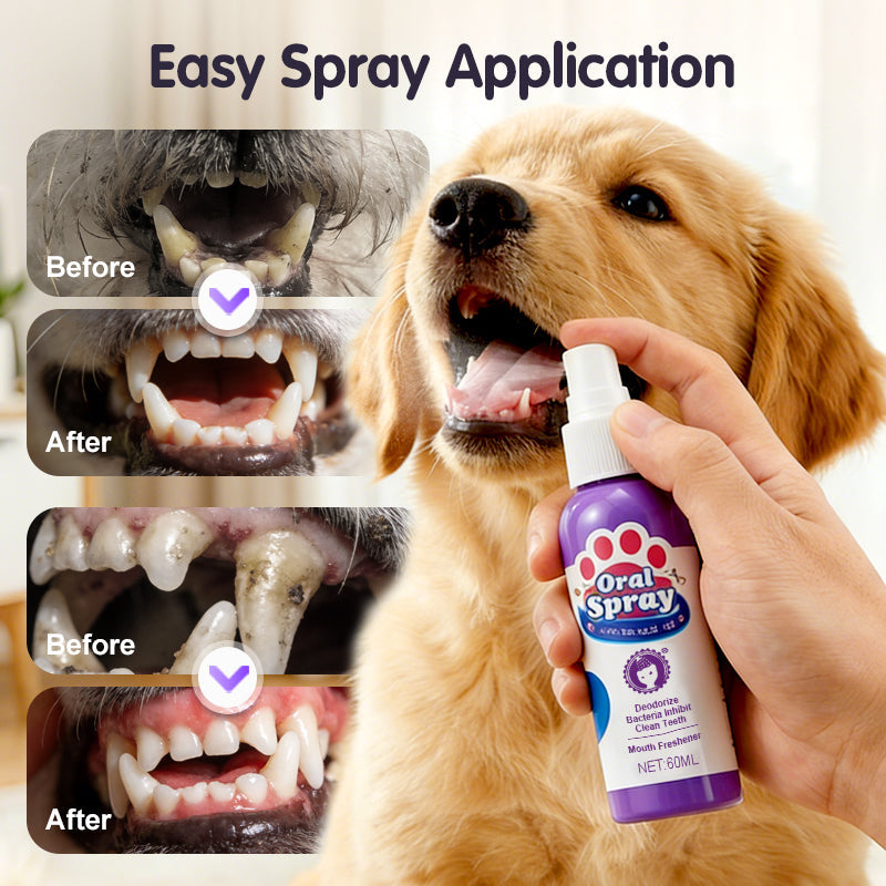 🔥2026 New Arrivals: 49% Off for a Limited Time!🔥DentaClean Teeth Cleaning Spray for Pets