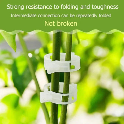 💥2026 Hot Sale 49% OFF💥 Secured Plastic Plant Clip（BUY 1 GET 1 FREE）