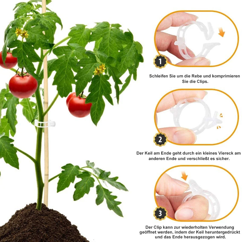 💥2026 Hot Sale 49% OFF💥 Secured Plastic Plant Clip（BUY 1 GET 1 FREE）
