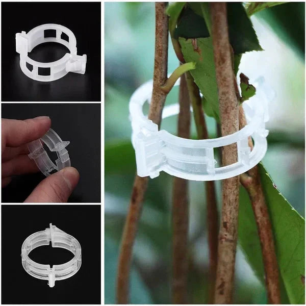 💥2026 Hot Sale 49% OFF💥 Secured Plastic Plant Clip（BUY 1 GET 1 FREE）