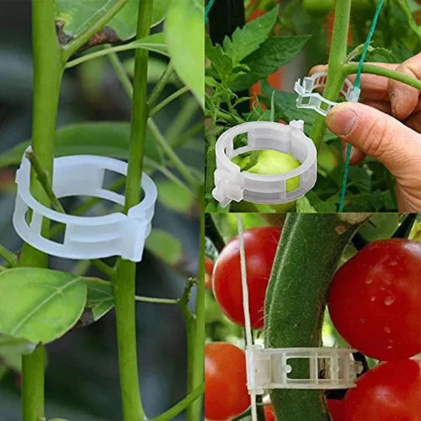 💥2026 Hot Sale 49% OFF💥 Secured Plastic Plant Clip（BUY 1 GET 1 FREE）