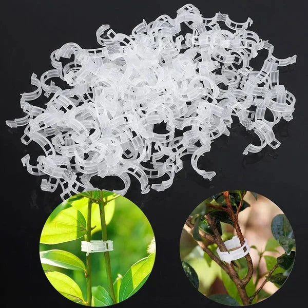 💥2026 Hot Sale 49% OFF💥 Secured Plastic Plant Clip（BUY 1 GET 1 FREE）