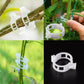 💥2026 Hot Sale 49% OFF💥 Secured Plastic Plant Clip（BUY 1 GET 1 FREE）