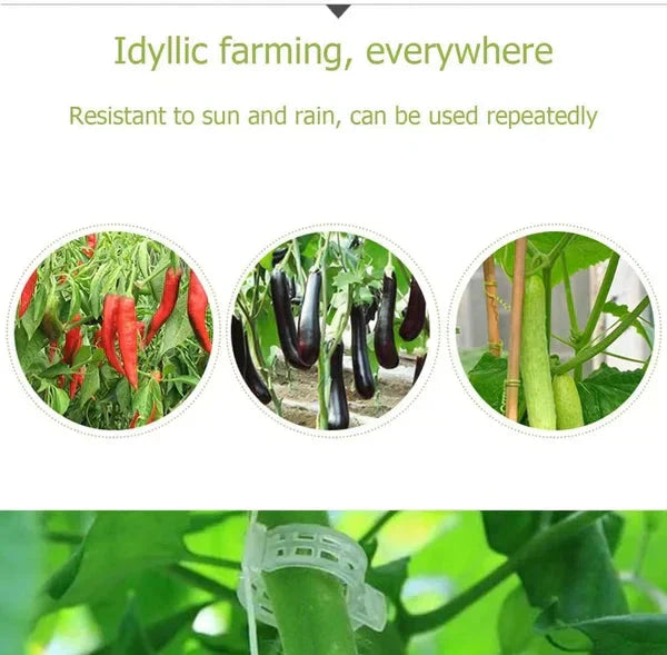 💥2026 Hot Sale 49% OFF💥 Secured Plastic Plant Clip（BUY 1 GET 1 FREE）