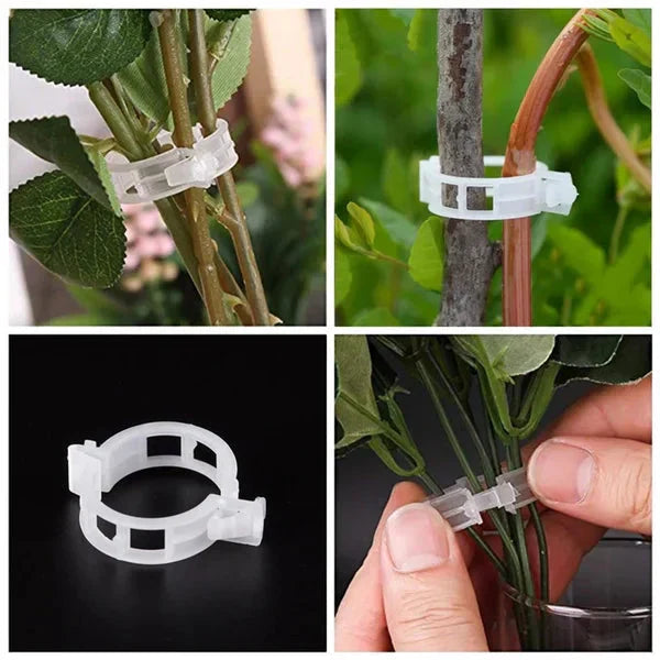 💥2026 Hot Sale 49% OFF💥 Secured Plastic Plant Clip（BUY 1 GET 1 FREE）