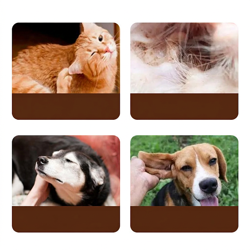 Tea Tree Pet Ear Wash for Cats & Dogs