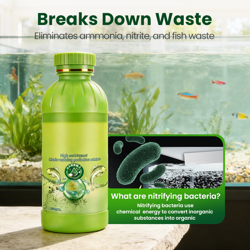 Nitrifying Bacteria Aquarium Water Purifier