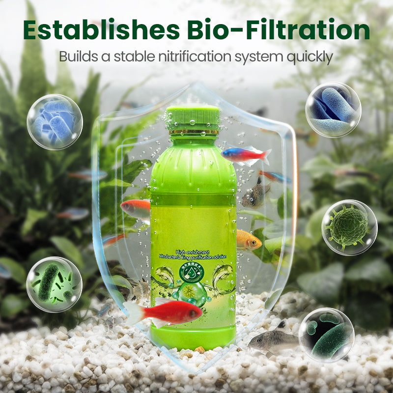 Nitrifying Bacteria Aquarium Water Purifier