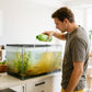 Nitrifying Bacteria Aquarium Water Purifier