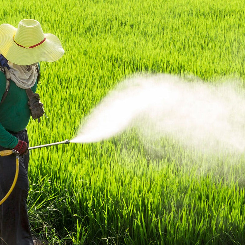 🥳2026 HOT SALE🥳💞50K+ SOLD!🌾💨 50% OFF! High Pressure Air Vortex Nozzle – Covers far crops, durable zinc alloy. Perfect for pesticides & herbicides. 🚜✨