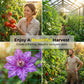 Heavy-Duty Garden Trellis Netting